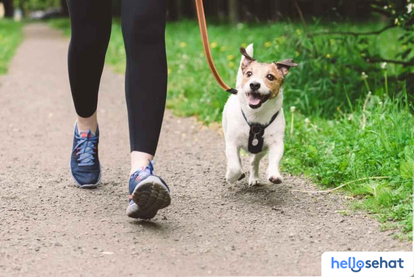 9 Aktivitas Seru & Mengasyikkan Bersama Anjing Kesayanganmu